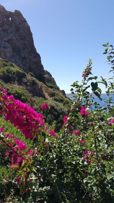 Villa Tanca Piras - Emozioni A Strapiombo Sul Mare!!! Nebida Exterior foto